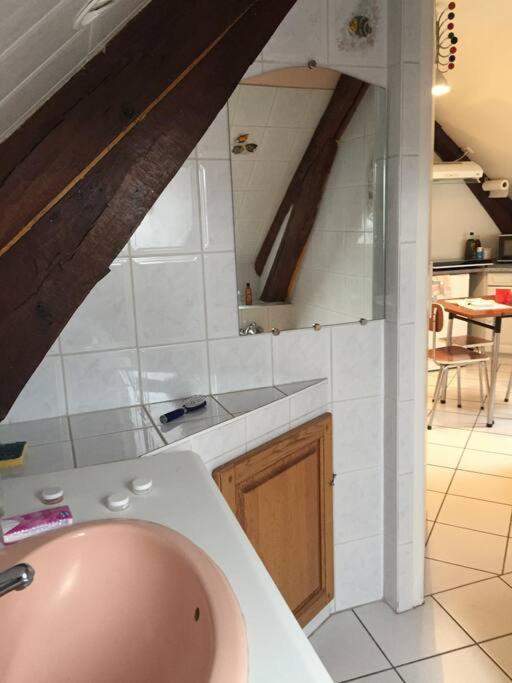 אוקזר Logement Cosy Et Lumineux מראה חיצוני תמונה